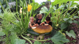 Tökmagok. Photoshop összedolgozott kép.