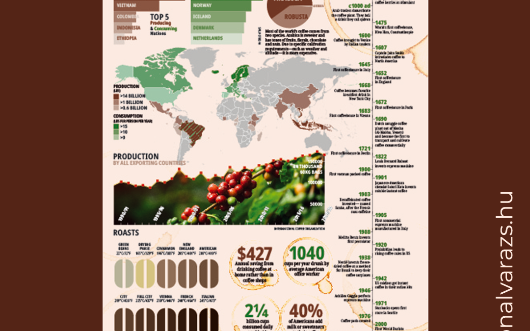 Kávés infografika, Vonalvarázs Webdesign
