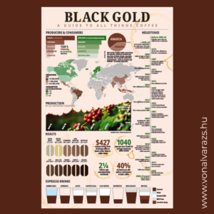 Kávés infografika, Vonalvarázs Webdesign